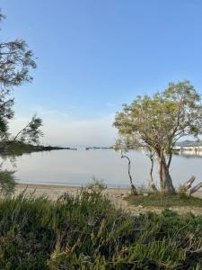 アンティパロス島にあるBeachfront House Antiparos St Spiridon beachのギャラリーの写真 +80枚の写真