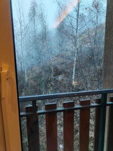 una vista da una finestra di una foresta di A cocoon in Les 2 Alpes a Les Deux Alpes