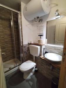 un bagno con wc, lavandino e doccia di A cocoon in Les 2 Alpes a Les Deux Alpes