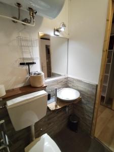un bagno con un water, un lavandino e uno specchio di A cocoon in Les 2 Alpes a Les Deux Alpes
