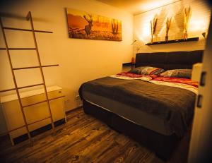 a bedroom with a bed and a ladder in it at Natur tanken im Schwarzwald in Sasbachwalden +23 photos