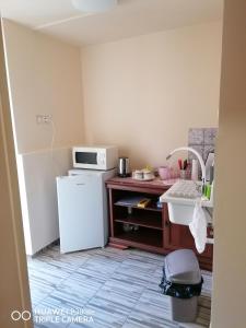 a small kitchen with a refrigerator and a microwave at Nonna Vendégház in Esztergom +10 photos