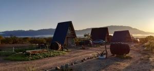 Landskap semula jadi dekat dengan chalet