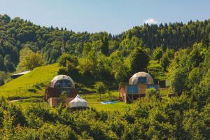 un gruppo di cupole in cima a una collina di Glamping Tago a Khulo