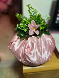 基亚瓦里Hotel & Garden的相册照片