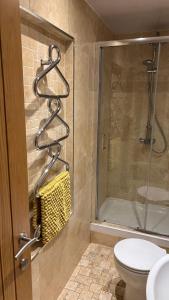 a bathroom with a shower and a toilet and a glass door at Roserin Coorie, Perth - just a few minutes walk from the city centre! in Perth