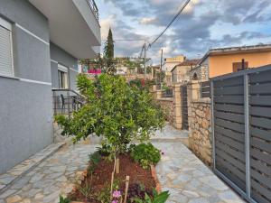 a small tree in a garden next to a building at The Darling Guesthouse in Himare
