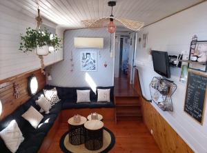 a living room with a couch and a tv at PENICHE FARNIENTE CLIMATISEE - Aux Portes de la Camargue in Bellegarde