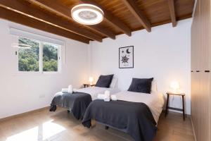 two beds in a white room with a window at Las Ranas 2 in La Orotava +17 photos