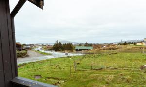 a view from a window of a field with sheep at 4 BR Home in Tórshavn with Balcony and Parking in Hoyvík +25 photos