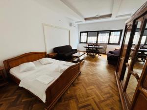 布加勒斯特Iancu Apartments的一间带床的卧室和一间客厅