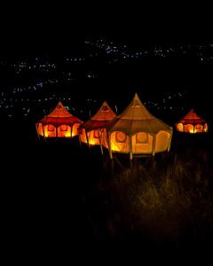 Foto dalla galleria di Glamping Tago a Khulo