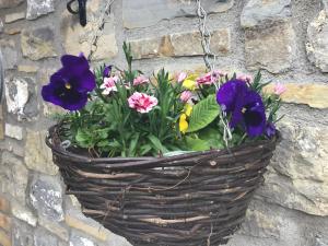 Gallery image of Poplar Farm in Wedmore