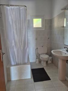 a bathroom with a toilet and a sink at Apartments Marina House in Fársa +22 photos