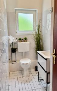 a bathroom with a toilet and a window with plants at Die Appartements Glavas mit Loggia und Balkon für 3 Personen in Novi Vinodolski