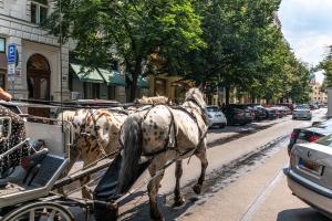 Loomad apartemendi aladel või selle läheduses