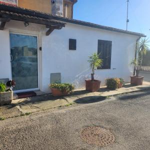 a white house with potted plants in front of it at Casa Grazia in Il Bagno