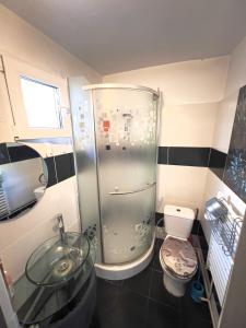 a bathroom with a glass sink and a toilet at City Charm -3 rooms with free Parking in Iaşi