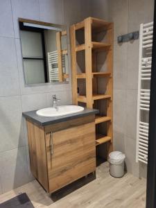 łazienka z umywalką i lustrem w obiekcie Appartement cosy face aux Aravis w mieście Le Grand-Bornand +29 zdjęć