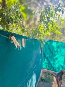 Gallery image of Pequeño depto, wifi, cochera, asador y cocina in Unquillo