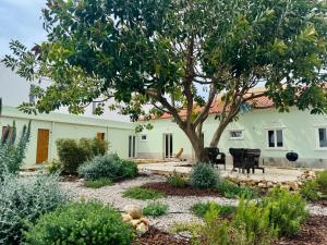 a garden in front of a house with a tree at Casa Pompilio in Sagres