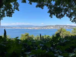 a view of the water from a tree at Les Genêts in Fayence