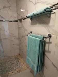 a bathroom with blue towels hanging on a wall at The little Heaven in Baie Nettle +33 photos