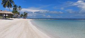 Φυσικό τοπίο κοντά σε αυτό το διαμέρισμα