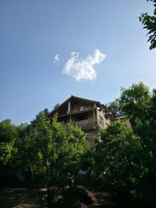 a building with trees in front of it at Zankhrpas A Himalayan Home - Manali in Manāli