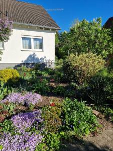 a garden of flowers in front of a house at Kleine moderne Ferienwohnung in Tauscha