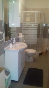 a bathroom with a sink and a toilet and a shower at Kuća Mare, 130m od mora in Seline