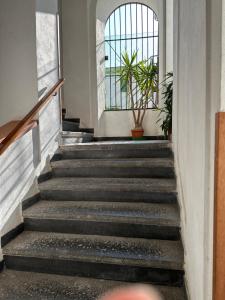 Billede fra billedgalleriet på B&B FRAI i Sorrento