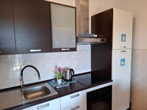 kuchnia ze zlewem i lodówką w obiekcie Apartment RB w mieście Omišalj