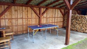 Stolní tenis v ubytování Apartmán Ústie nebo okolí