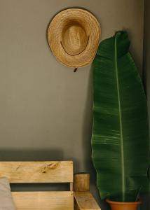a hat on a wall next to a plant at Na Villa dos Algodões in Marau
