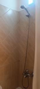 科尔多瓦Dpto Nueva Cordoba frente Palacio Ferreyra a 100mt Consulado España的浴室里有淋浴喷头的淋浴 更多50张照片