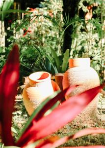 a group of vases sitting next to a plant at Na Villa dos Algodões in Marau