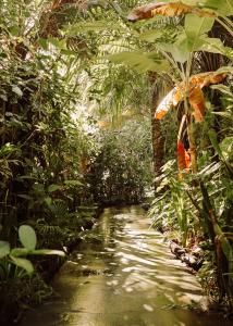 a path in the middle of a jungle at Na Villa dos Algodões in Marau