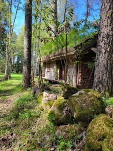 Zahrada ubytování Timmerstugan i skogen