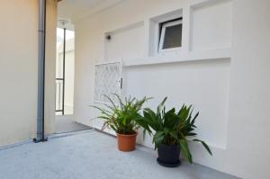 two potted plants sitting on the side of a building at Apartments Spasoje in Kotor
