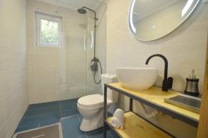 a bathroom with a toilet and a sink and a mirror at Apartments Spasoje in Kotor