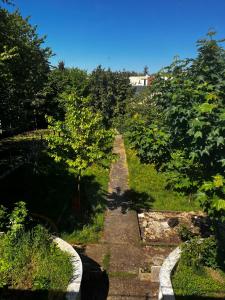 a path through a garden with trees and grass at Cyrus House in Le Mans
