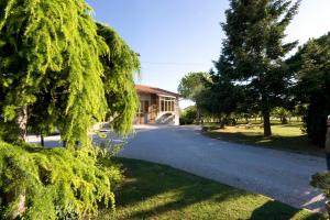 a road in front of a building with trees at Abbadia 14 in Osimo