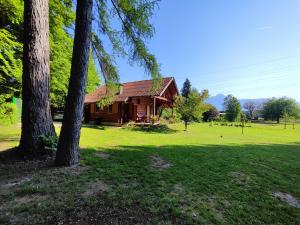 a log cabin in a field with a tree at Silent Orchard in Naklo