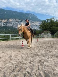 Jazda na koni pri farme alebo okolí