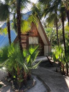 Φωτογραφία από το άλμπουμ του Kin Resort Lodge Entire Private Property σε Placencia Village