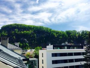 Gallery image of Salzburg Topside Apartment in Salzburg