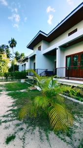 a house with a palm tree in front of it at 2-Bedroom Maduea Wan House in Ko Phangan