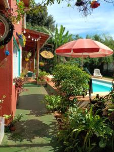 Swimmingpoolen hos eller tæt på Mary's House