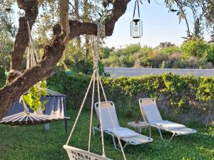 Vonkajšia záhrada v ubytovaní Olive holiday home